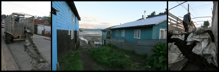 Chili Agar-agar Ekla Chiloe